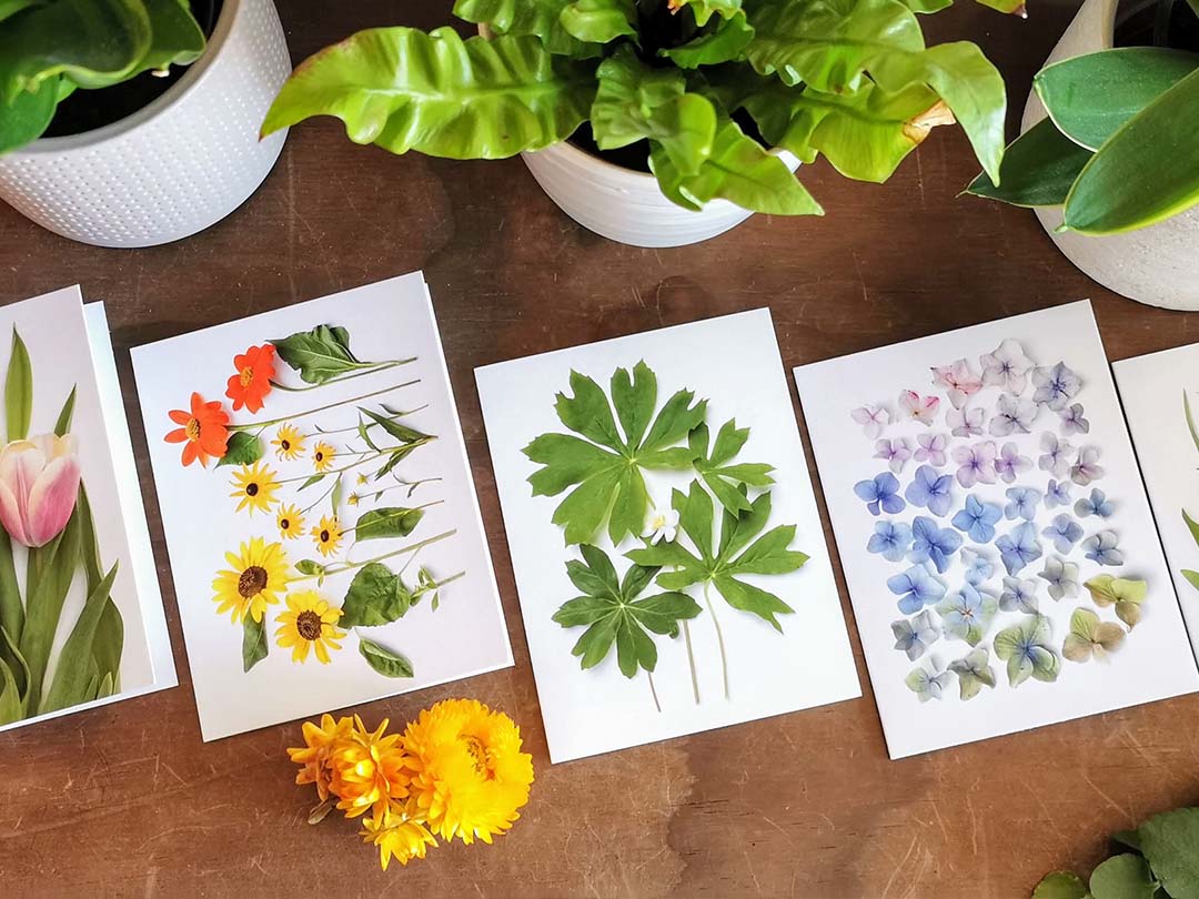 Spotlight: Bottle Branch Stationery