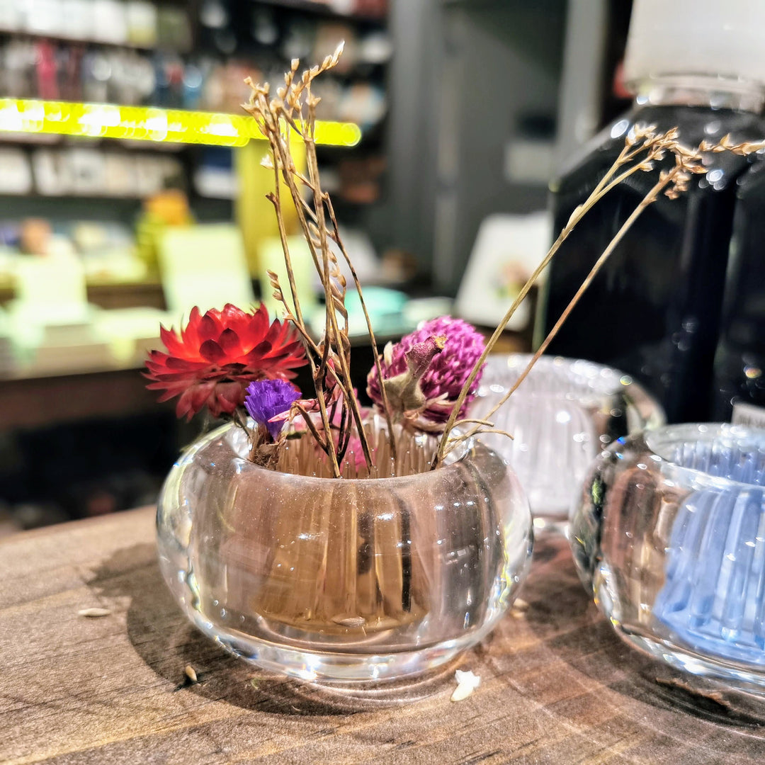 Getting Curious: Plants