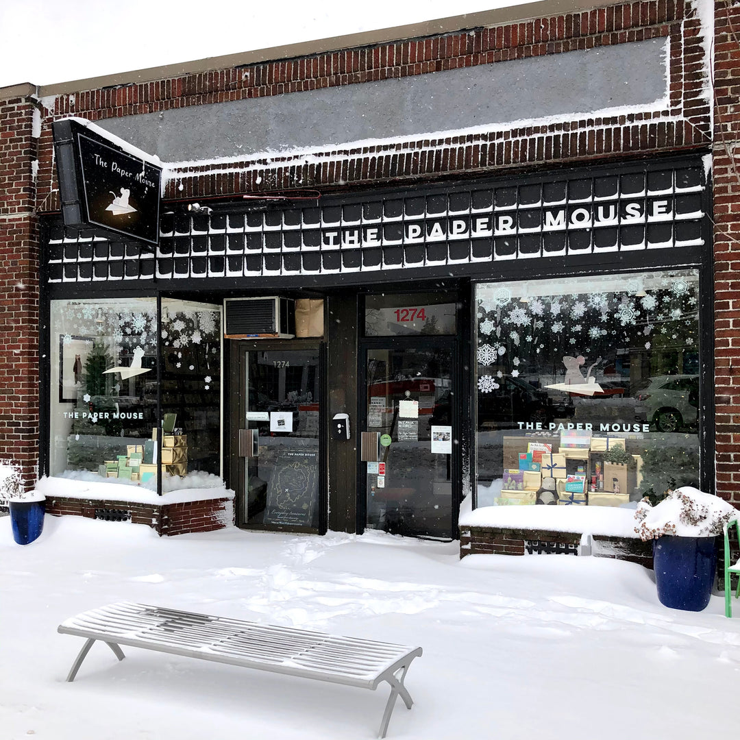 Getting Curious: Wintertime