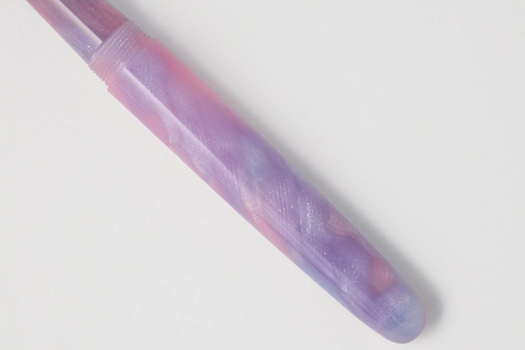 A Dream within a Dream Literature Preface Fountain Pen