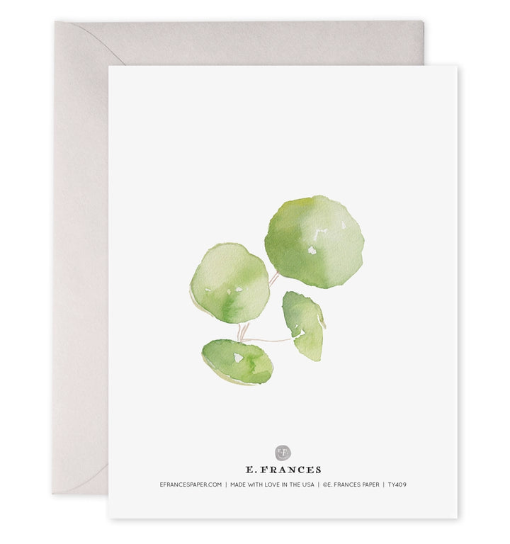 Pilea Plant Thank You |  6 Cards Set