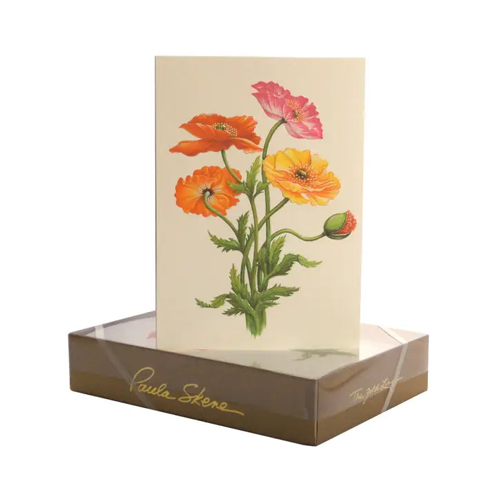 Colorful Poppies | Greeting Card