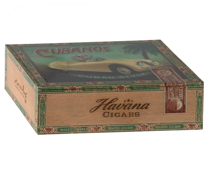 Grandma and Grandpa Mice in Cigar Box