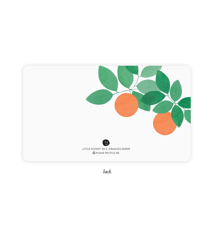 Orange Grove | Little Notes *