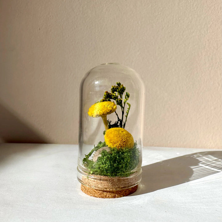 Mini Glass Terrarium | Yellow Meadow Mix Fields with Dried Flowers