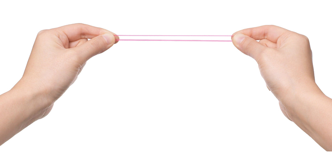 Zoo Animal Rubber Band