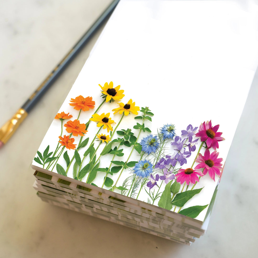 Wild Rainbow | Notepad