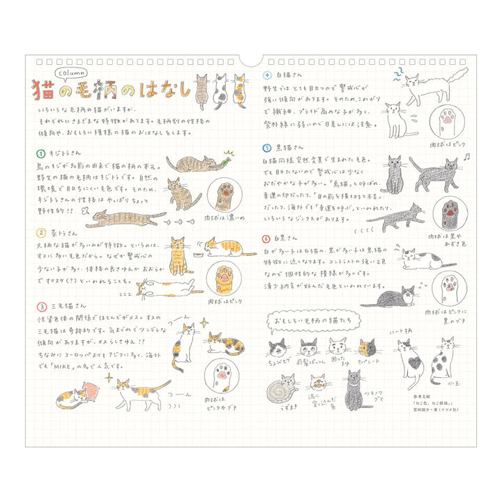 Midori 2027 Wall Calendar | Cat