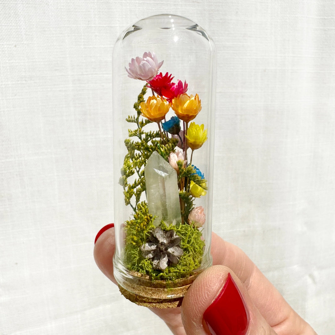 CA Studio Rainbow Pride Mini Glass Terrarium