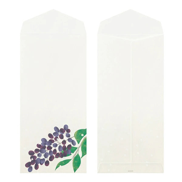 Winter Fruit Letter Envelope