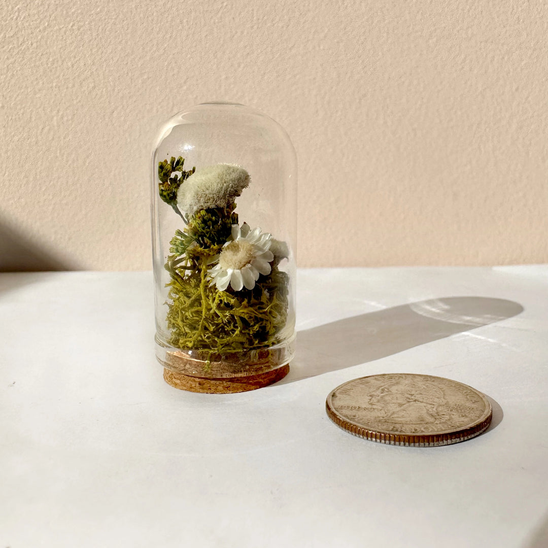 Mini Glass Terrarium | White Meadow Mix with Dried Flowers