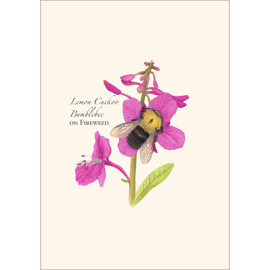 Spring Bee | Assorted 8 Card Set
