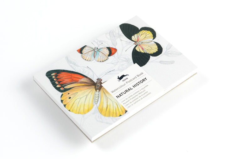 Natural History | Coloring Postcards
