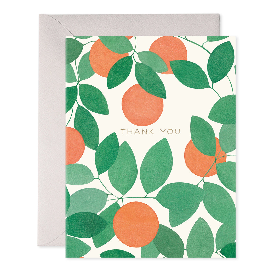 Orange Grove Thank You |  6 Cards Set