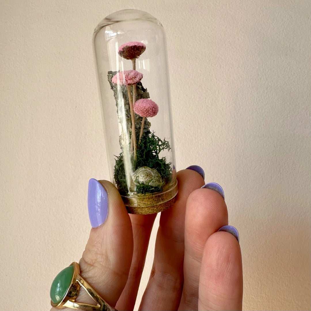 CA Studio Pink Mushroom Fields Mini Glass Terrarium