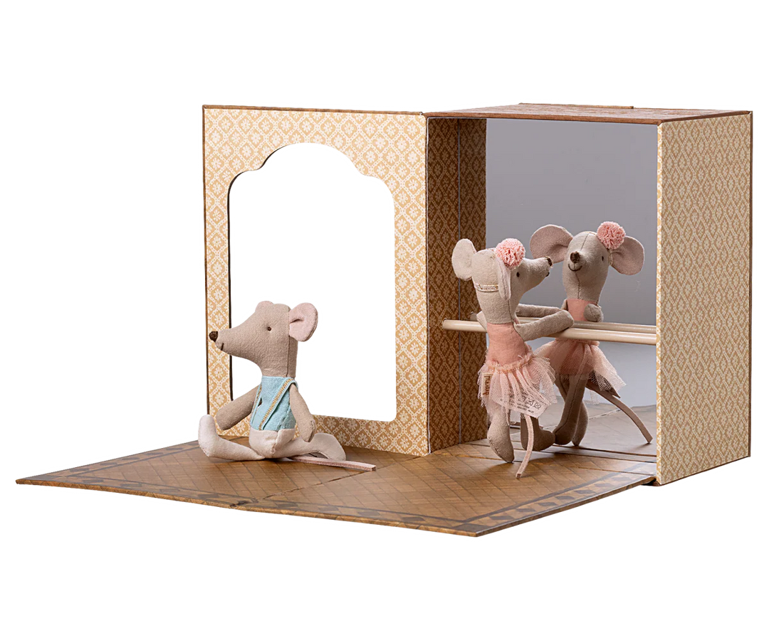 Little Sister and Little Brother Ballet Mouse in Dance Studio
