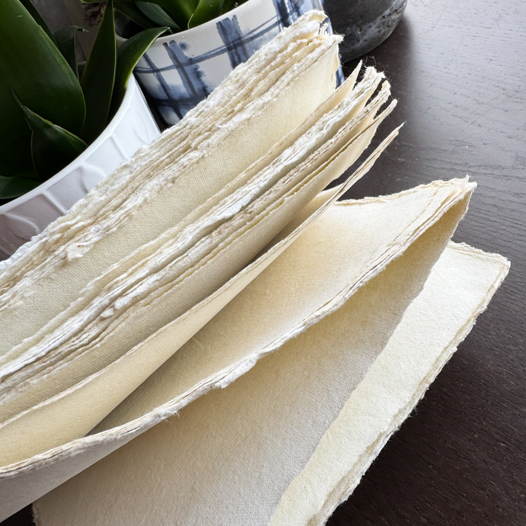 Lemon Stem Parchment Paper A6 Notebook