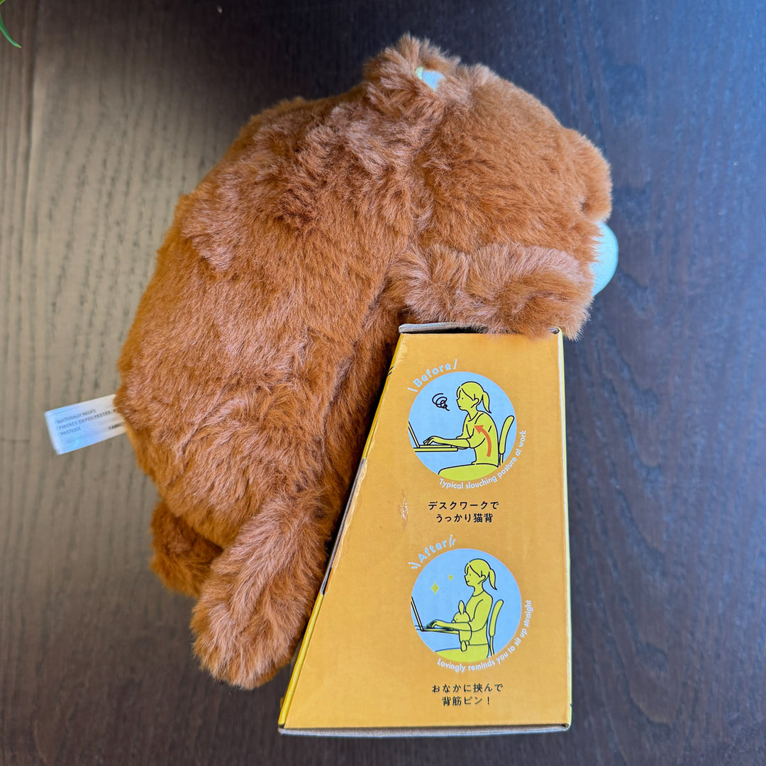 Bear Posture Pal