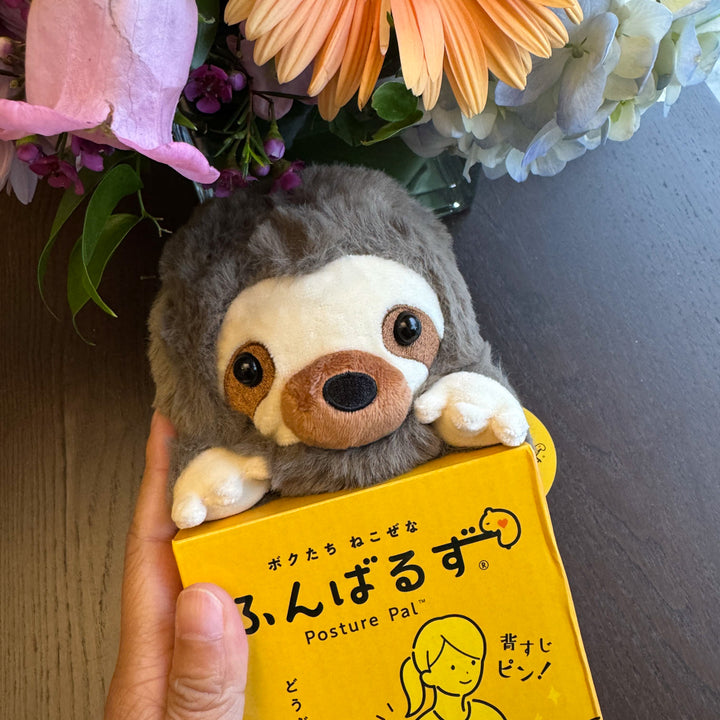Sloth Posture Pal