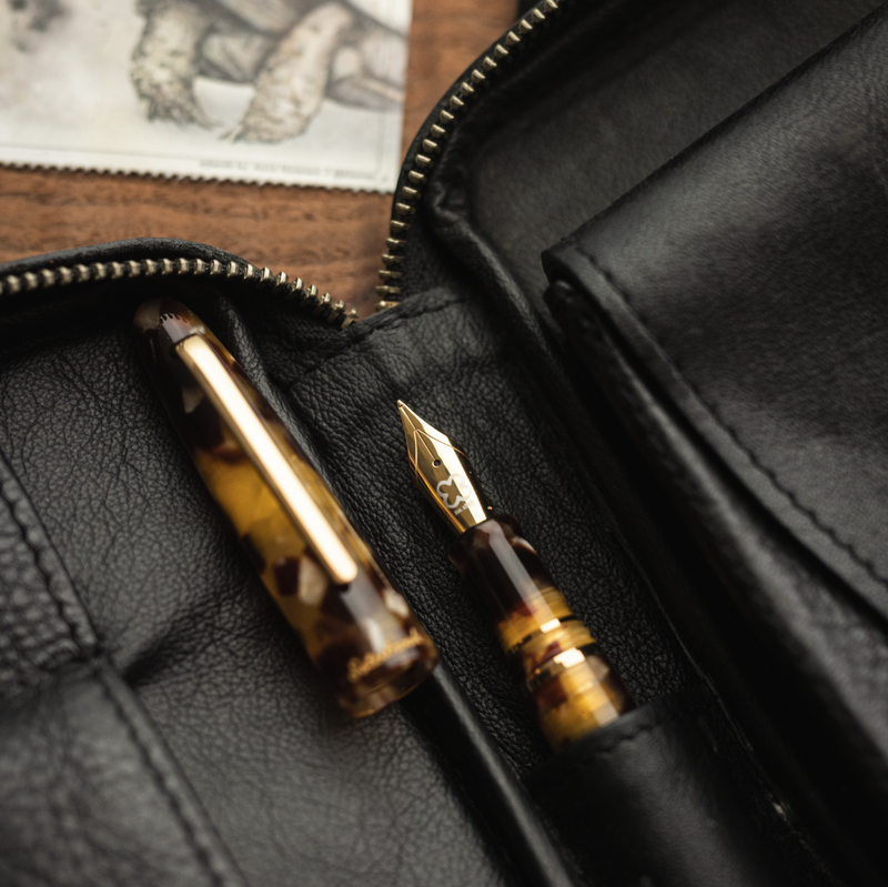 Estie Fountain Pen | Tortoise
