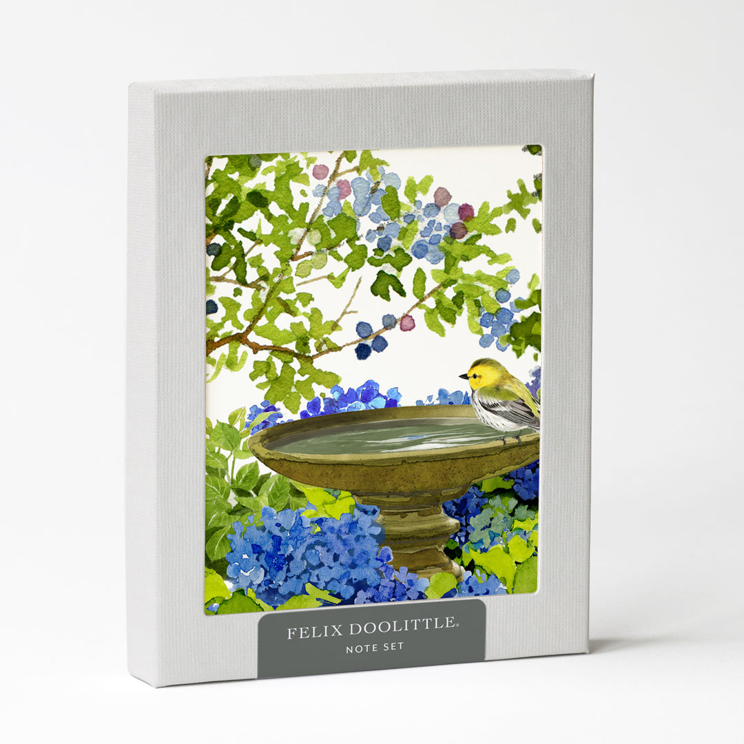 Dazzling Blooms | Assorted 8 Card Set