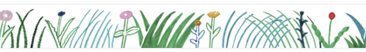 Grass SODA Transparent Sticker Tape