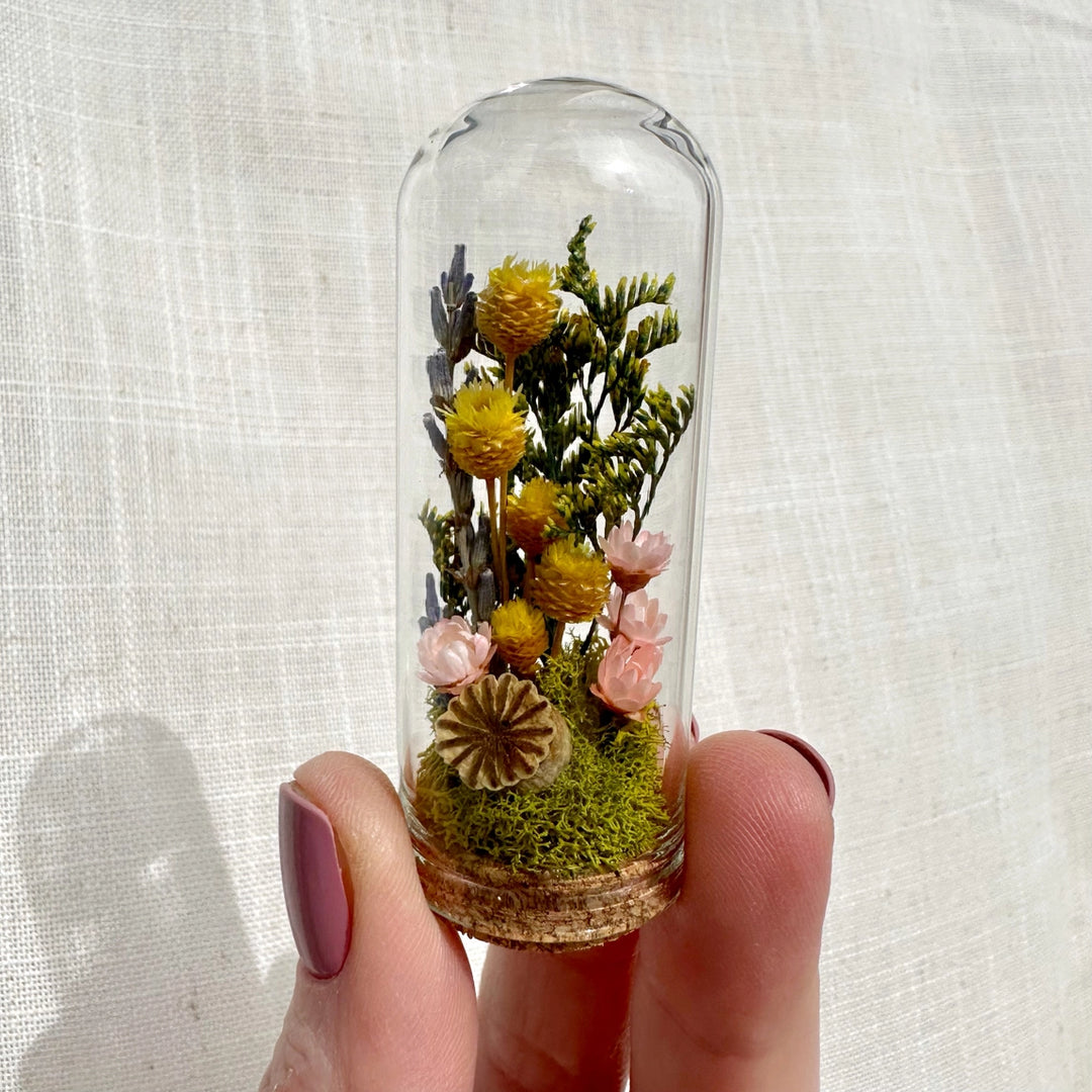 CA Studio Cottage Garden Mini Glass Terrarium