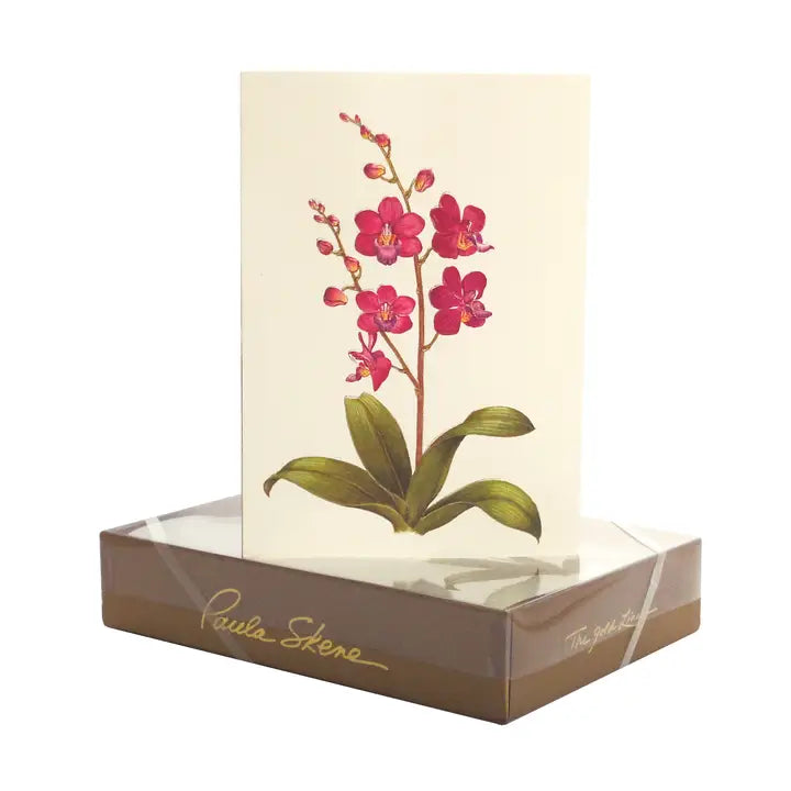 Orchid Sympathy | Greeting Card