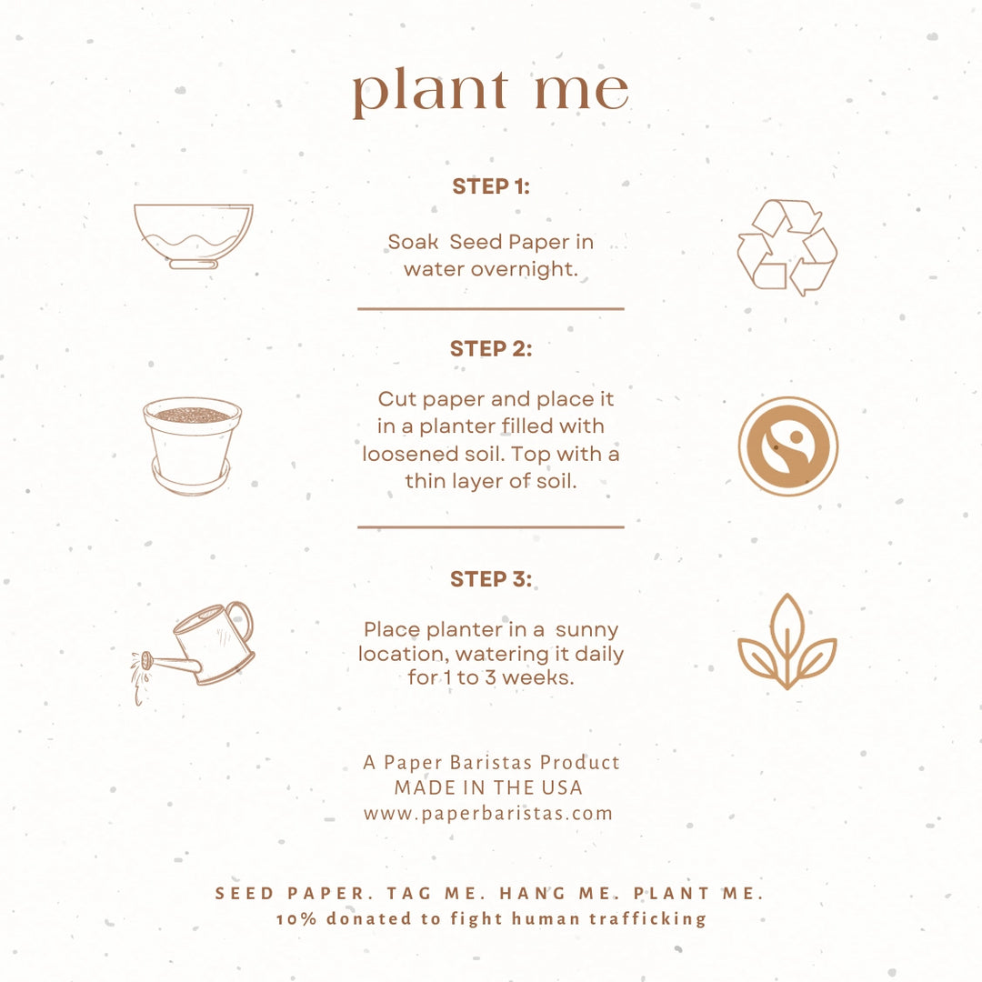Flower Bouquet Plantable Seed Gift Tags | Set of 3