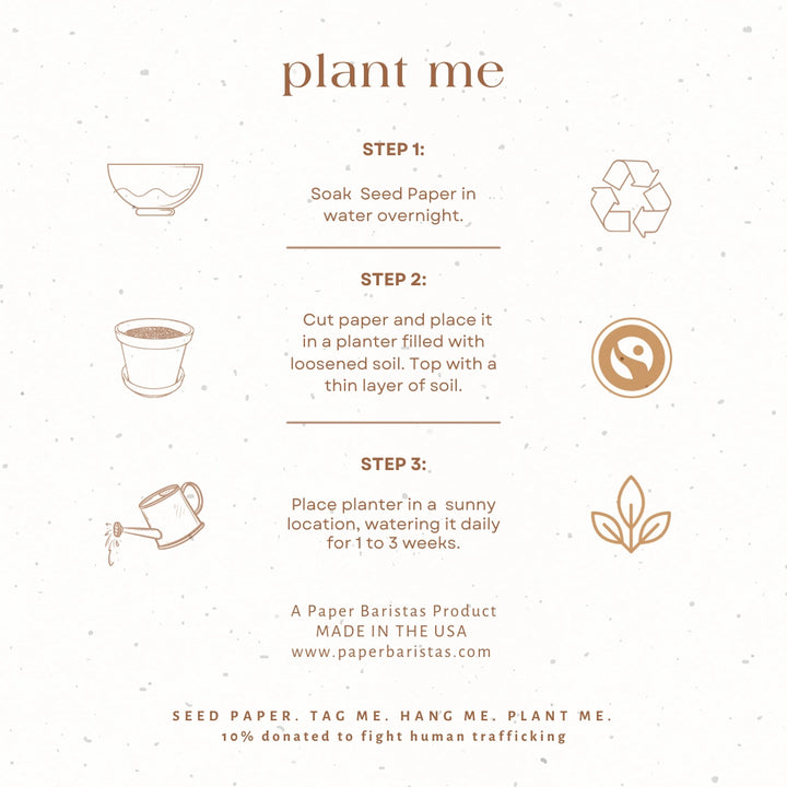Flower Bouquet Plantable Seed Gift Tags | Set of 3