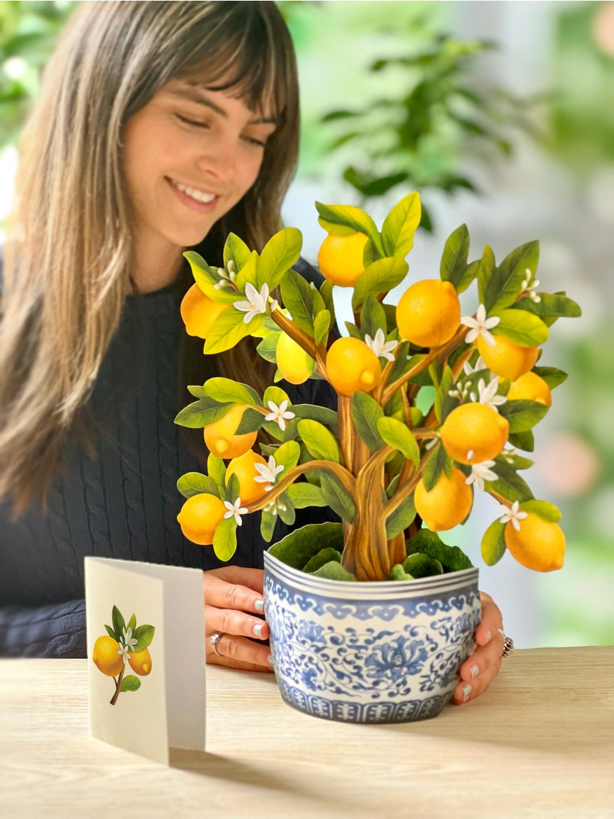 Lemon Blossom Tree Large Pop-Up Card
