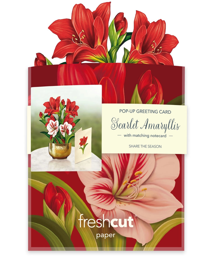 Scarlett Amaryllis Mini Pop-Up Card