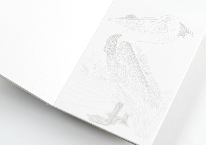 Natural History | Coloring Postcards