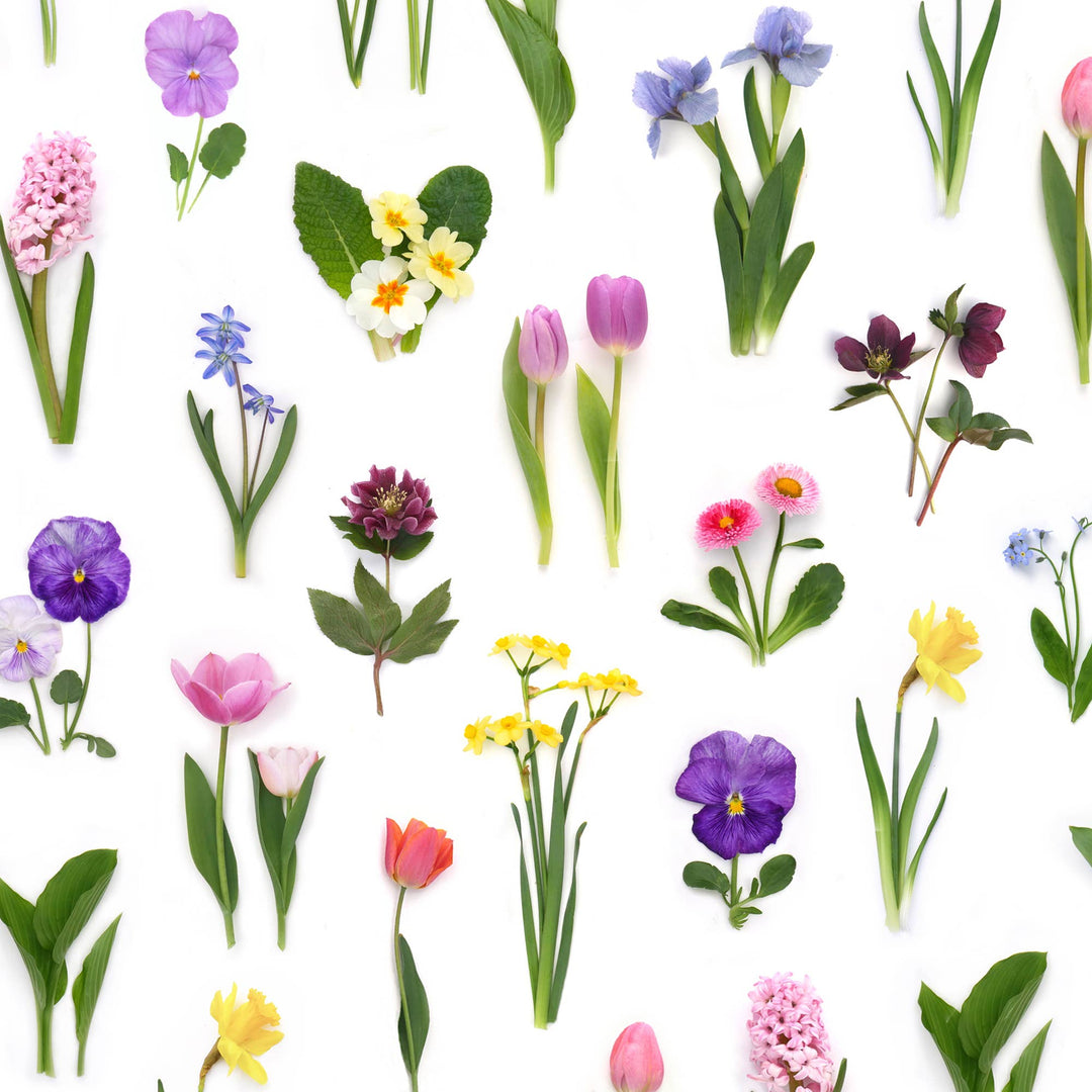 Rainbow of Spring Flowers | Gift Wrap