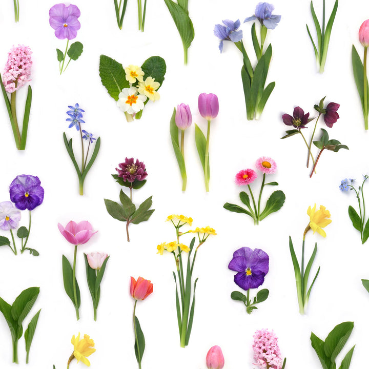 Rainbow of Spring Flowers | Gift Wrap