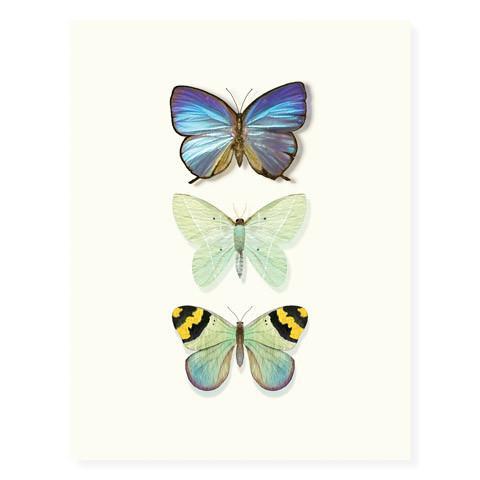 Garden Jewels | Assorted 8 Card Set