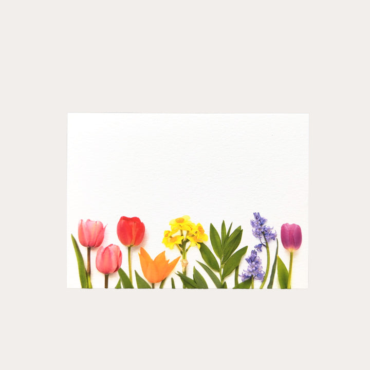 Rainbow with Bluebells | 8 Flat Card Set