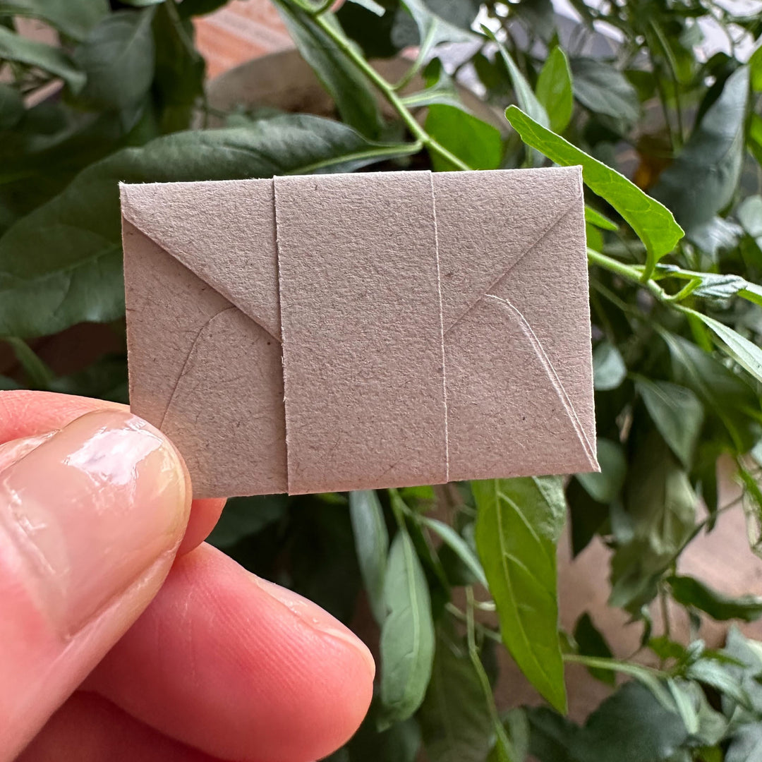 May Flowers | Tiny Notes with Envelopes | Set of 12