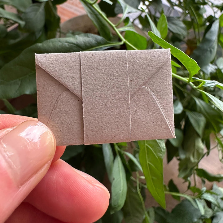 May Flowers | Tiny Notes with Envelopes | Set of 12