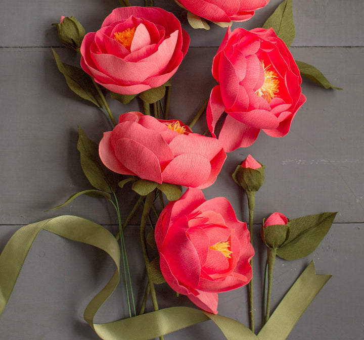 Peony | Crepe Paper Flower Kit