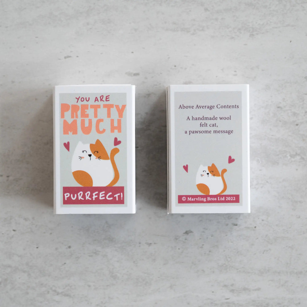 Wool Felt Cat in a Matchbox