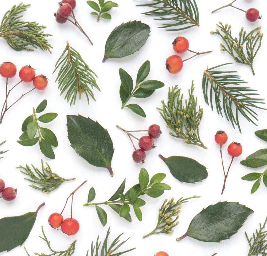 Evergreens and Berries | Gift Wrap *